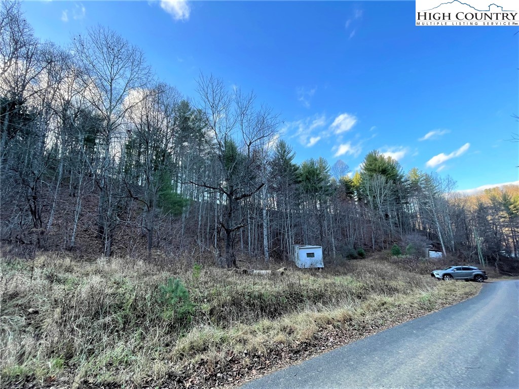 130 Tom Pless Road West Jefferson, NC 28694 - Photo 6 of 26 Gallery Image 6