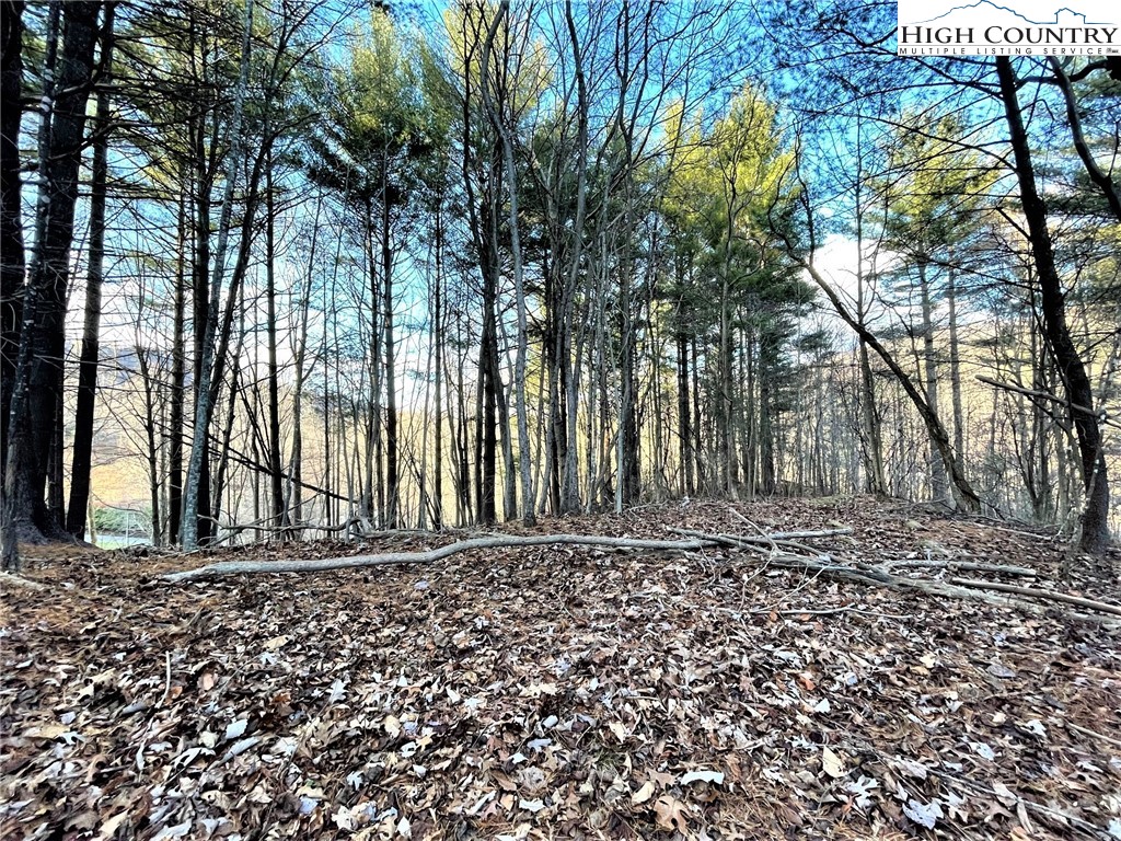 130 Tom Pless Road West Jefferson, NC 28694 - Photo 8 of 26 Gallery Image 8