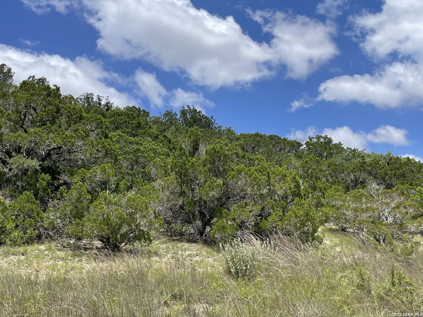 Lot 44 Walker Ridge Tarpley, TX 78003 - Photo 16 of 20