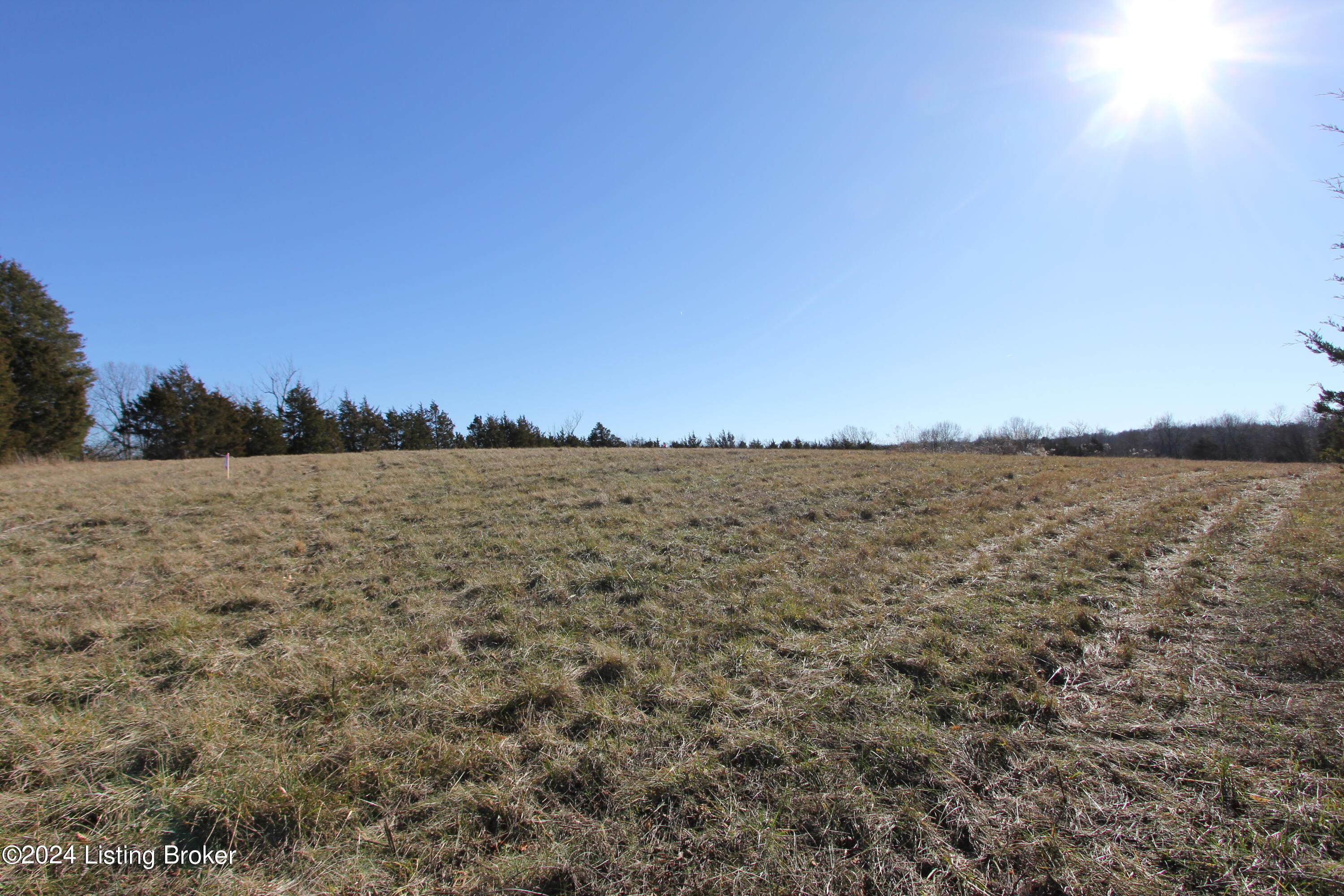 3-4 Pumphouse Road Lawrenceburg, KY 40342 - Photo 4 of 9 Tract 3 Pumphouse