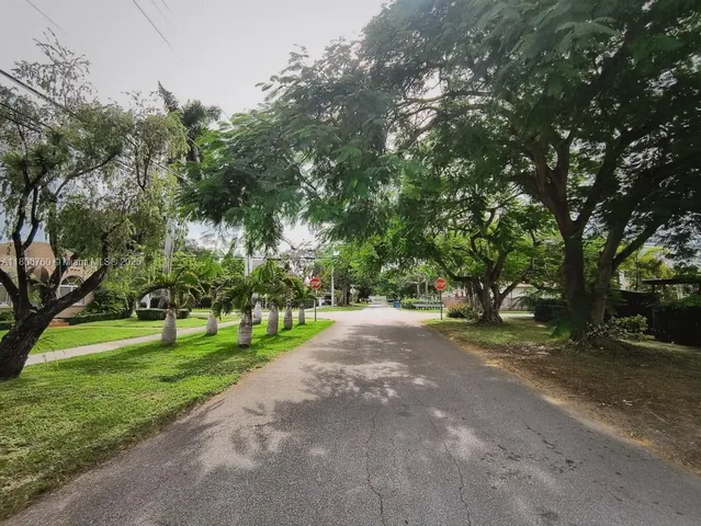a view of a park with large trees