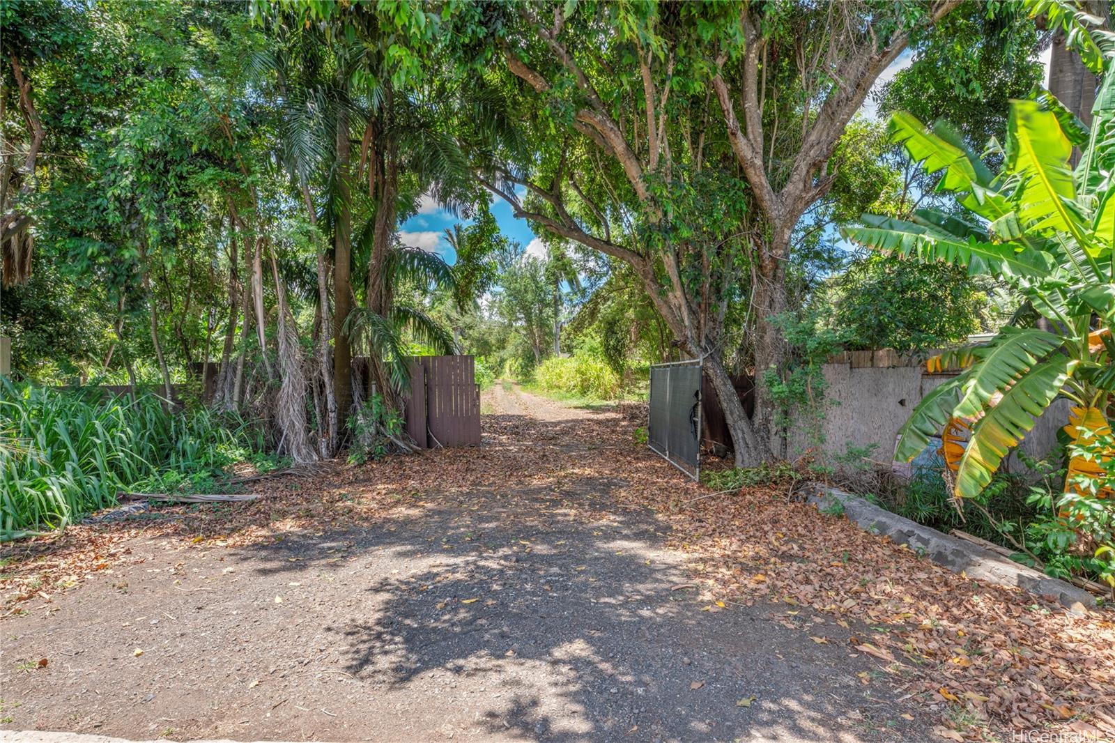 66-195 Kaamooloa Road, Unit B Waialua, HI 96791 - Photo 14 of 15 a view of a tree in front of a house