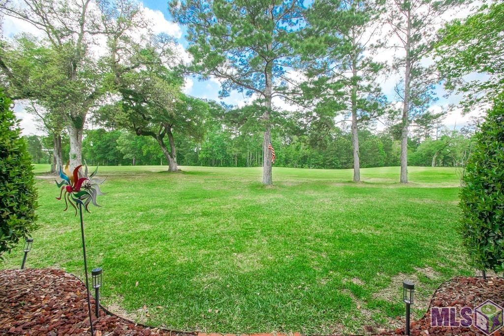 23745 Carter Trace Springfield, LA 70462 - Photo 20 of 31