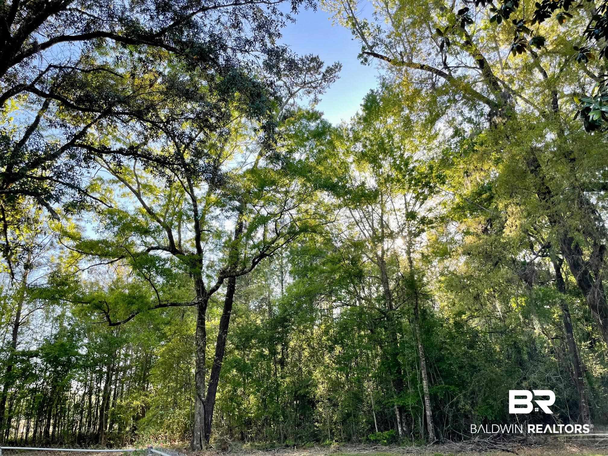 3235 Highway 29 Brewton, AL 36426 - Photo 39 of 42