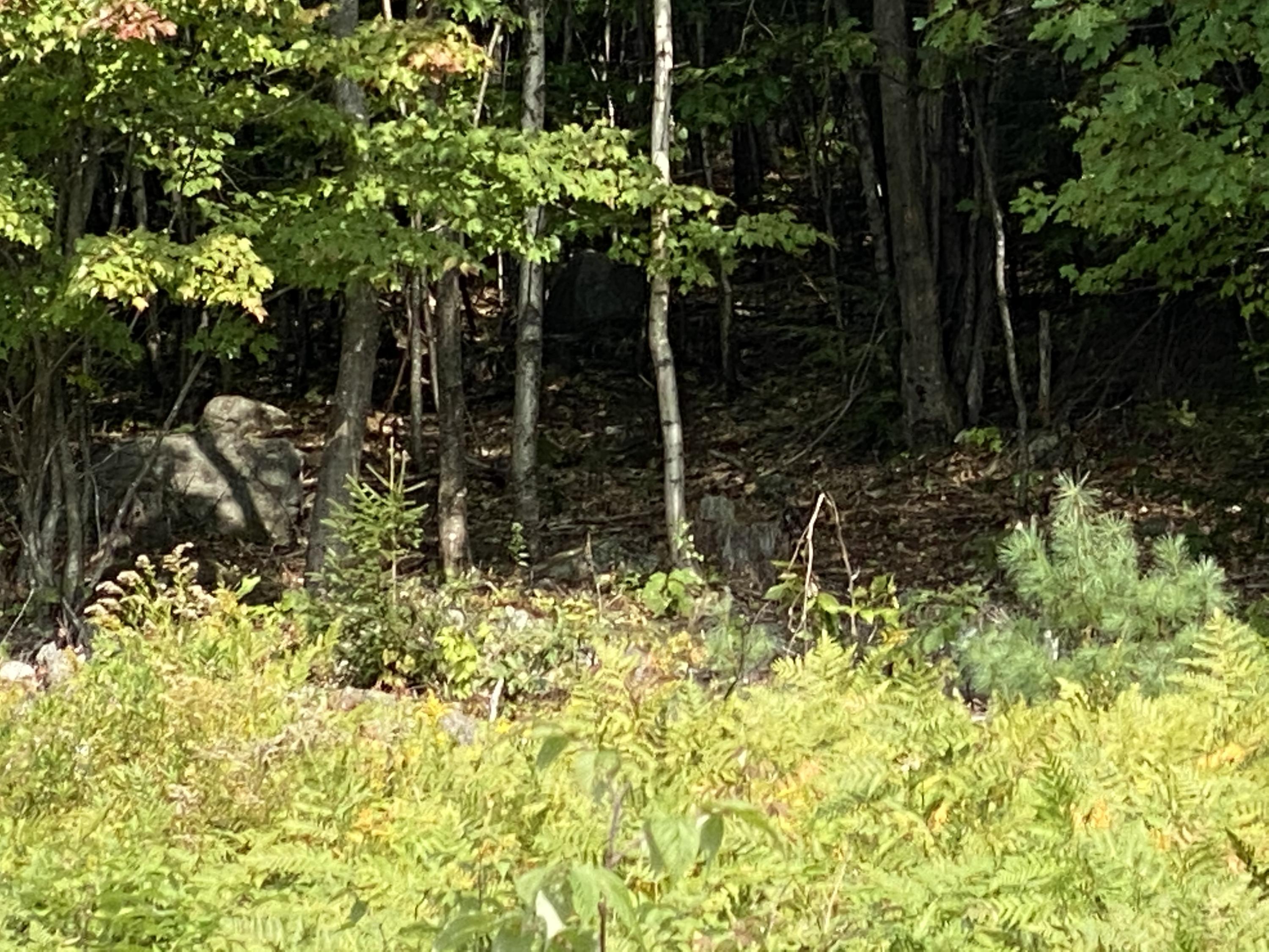 6-082 Lomie Rivers Road Jay, ME 04239 - Photo 26 of 43 Photo Sep 16, 12 40 05 PM