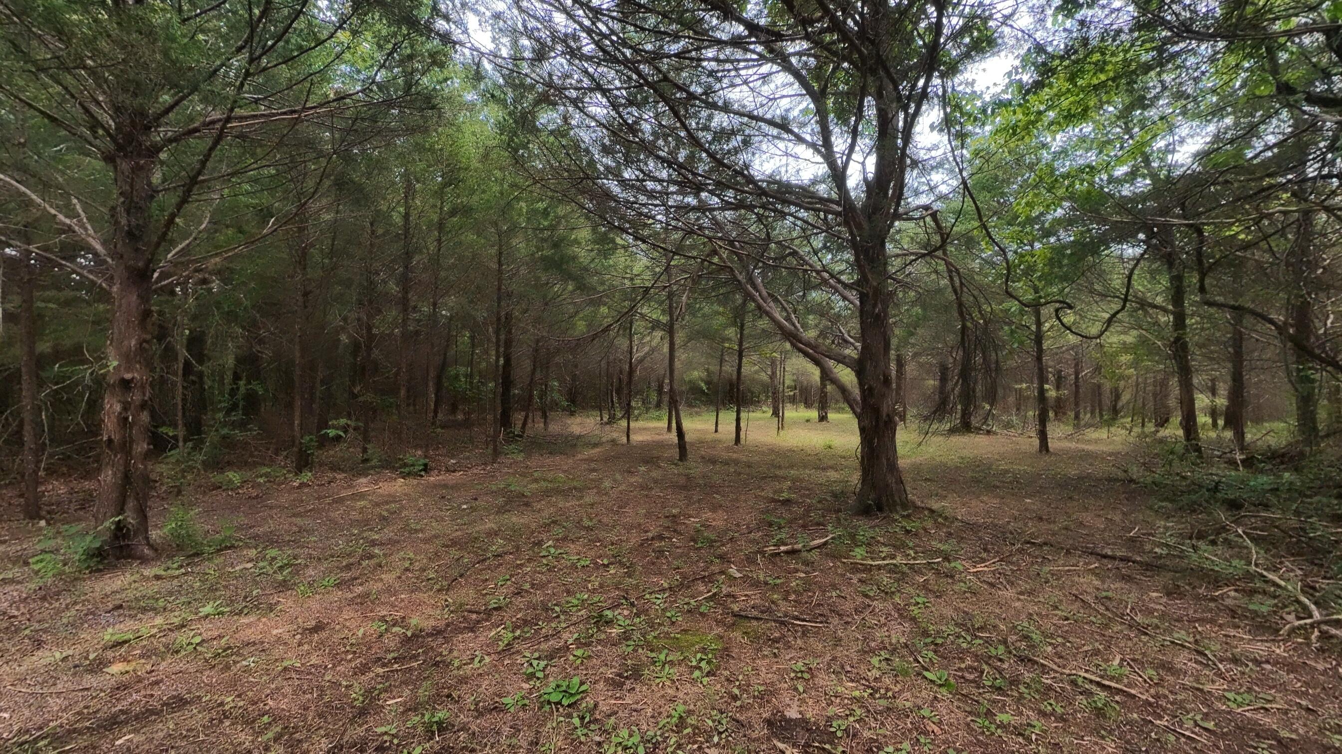 3261 North Camp Creek Road Mammoth Spring, AR 72554 - Photo 21 of 38 Home on a 12+ acre hobby farm027