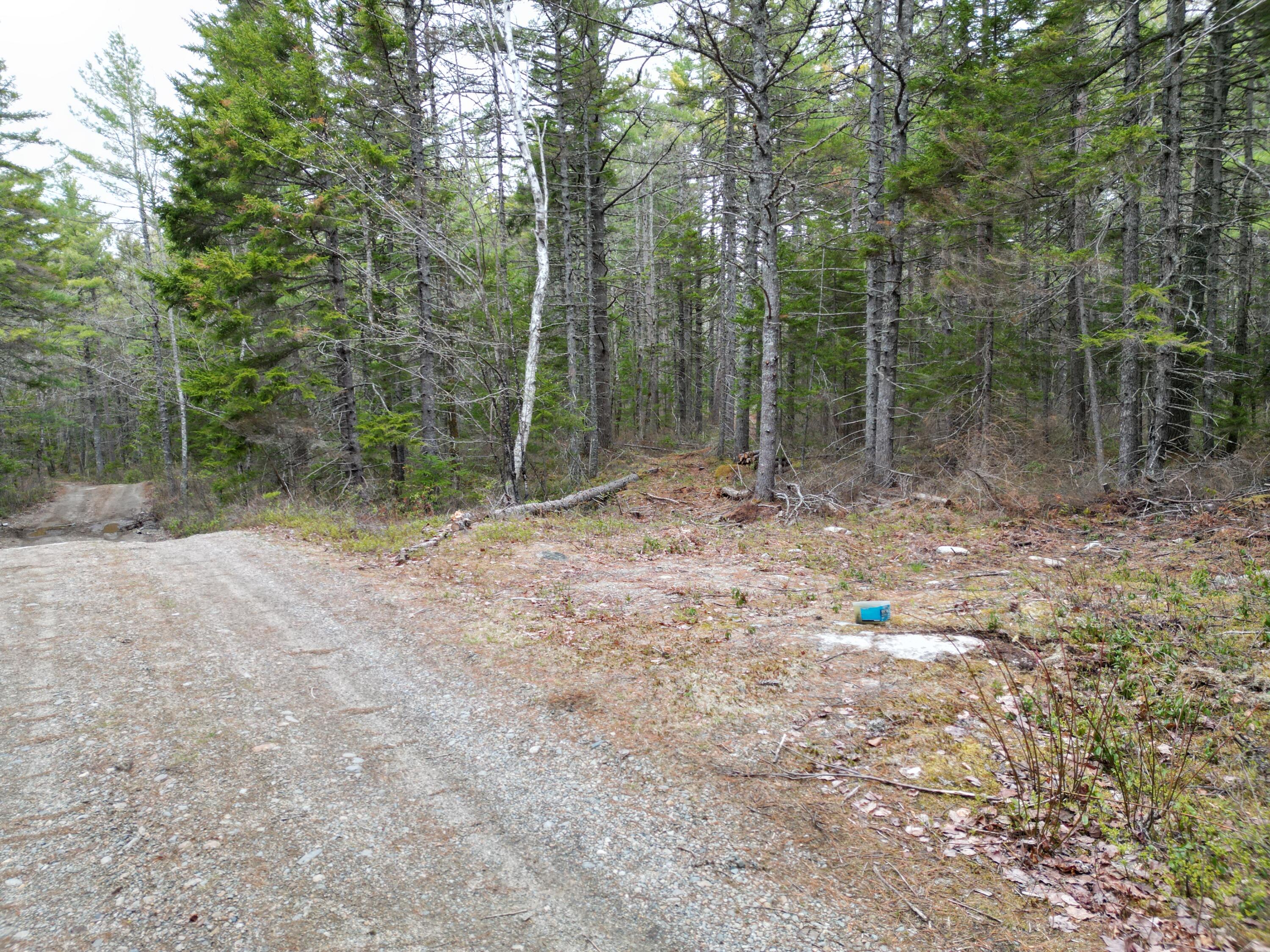 1323 Deer Haven Road Wesley, ME 04686 - Photo 10 of 14 DJI_0423