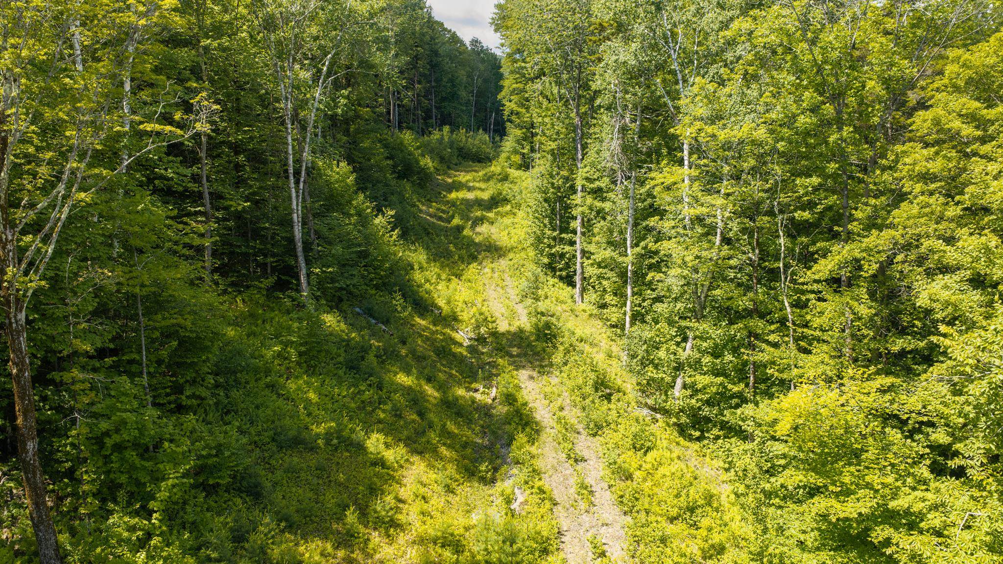 56 Lower Taylor Hill Road Winhall, VT 05340 - Photo 8 of 14 Gallery Image 8