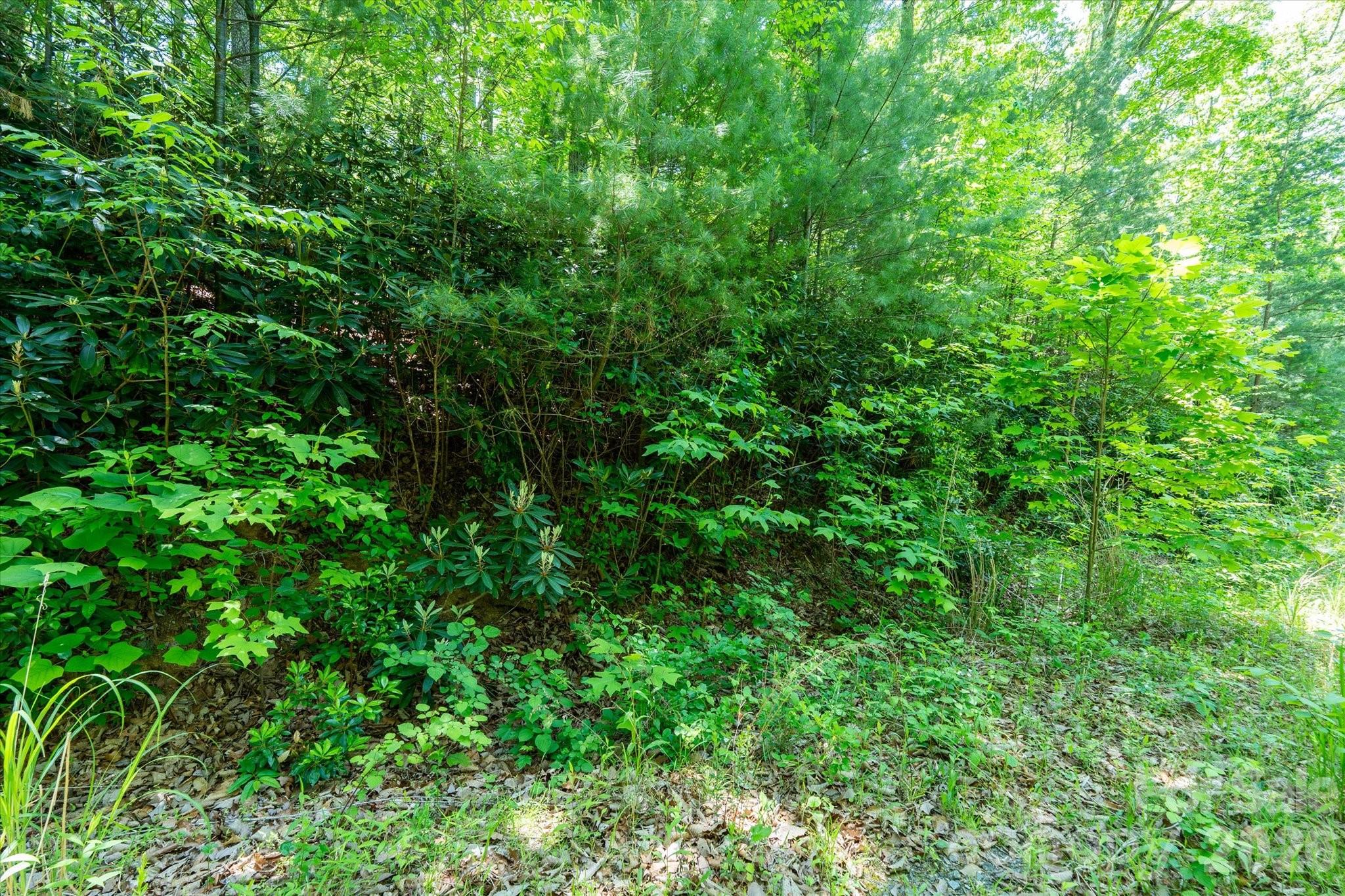 99999 Winding Ridge Road Fairview, NC 28730 - Photo 14 of 15