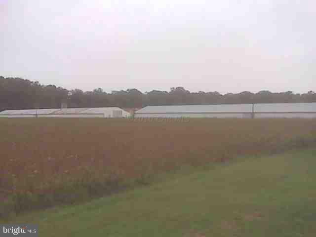 518 Snow Hill Road Stockton, MD 21864 - Photo 14 of 17