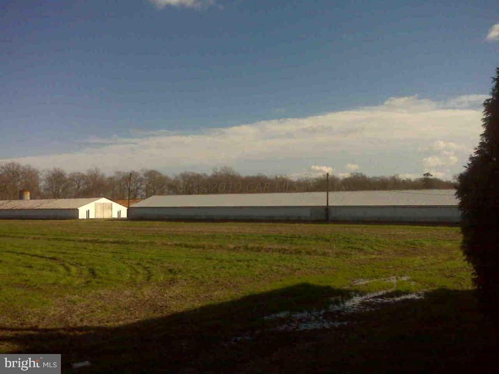 518 Snow Hill Road Stockton, MD 21864 - Photo 4 of 17