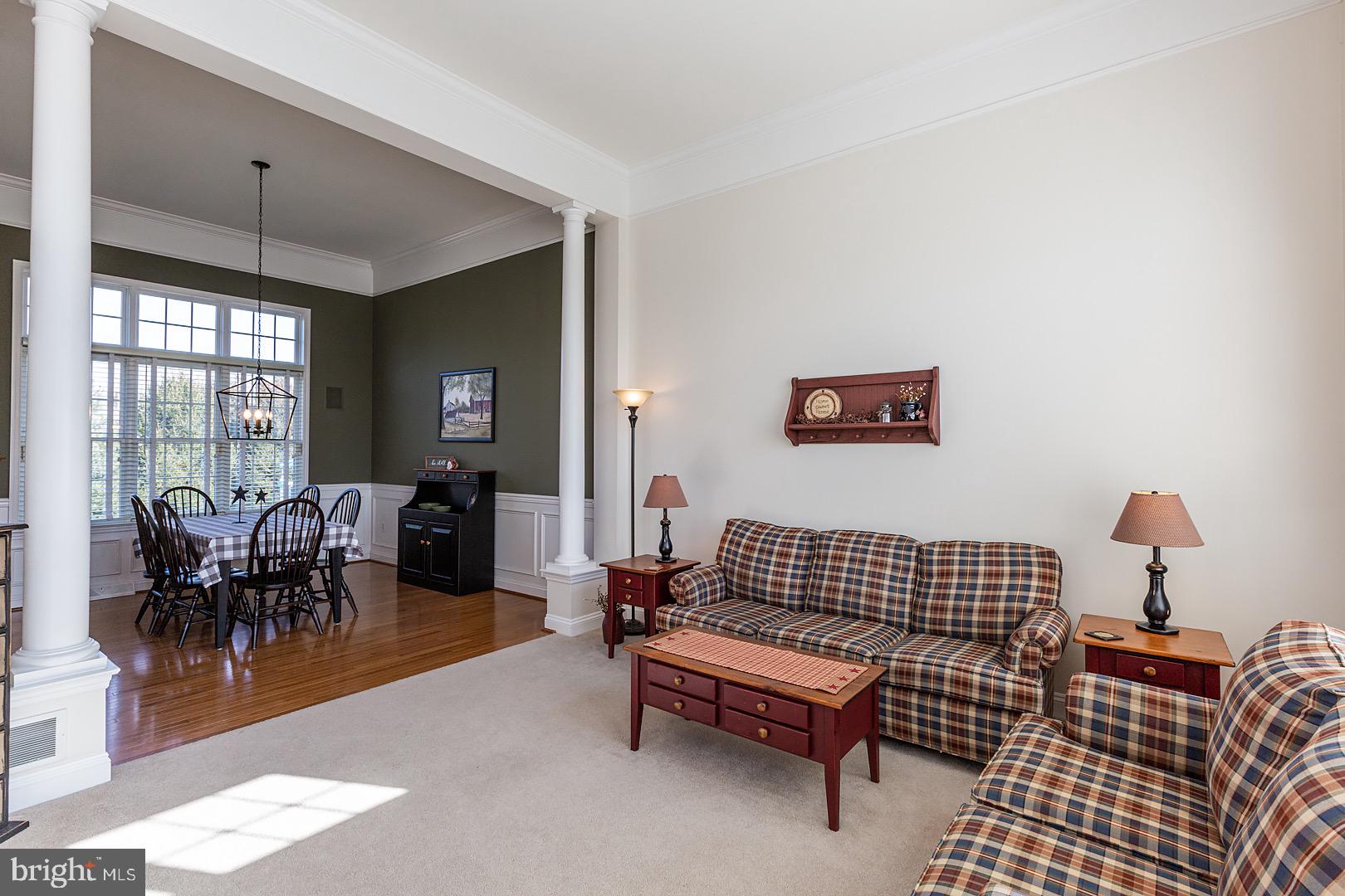 1018 Buckwalter Road Lititz, PA 17543 - Photo 11 of 73 Living room with 12 foot ceilings