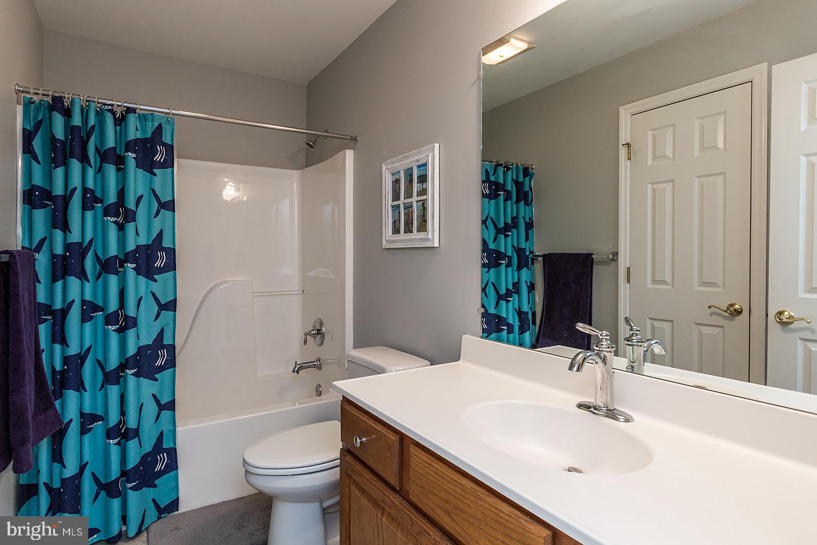 1018 Buckwalter Road Lititz, PA 17543 - Photo 54 of 73 Full Bathroom