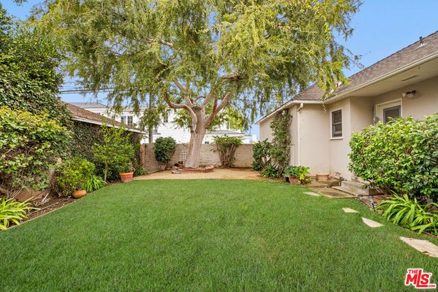 a view of a backyard with plants and large trees