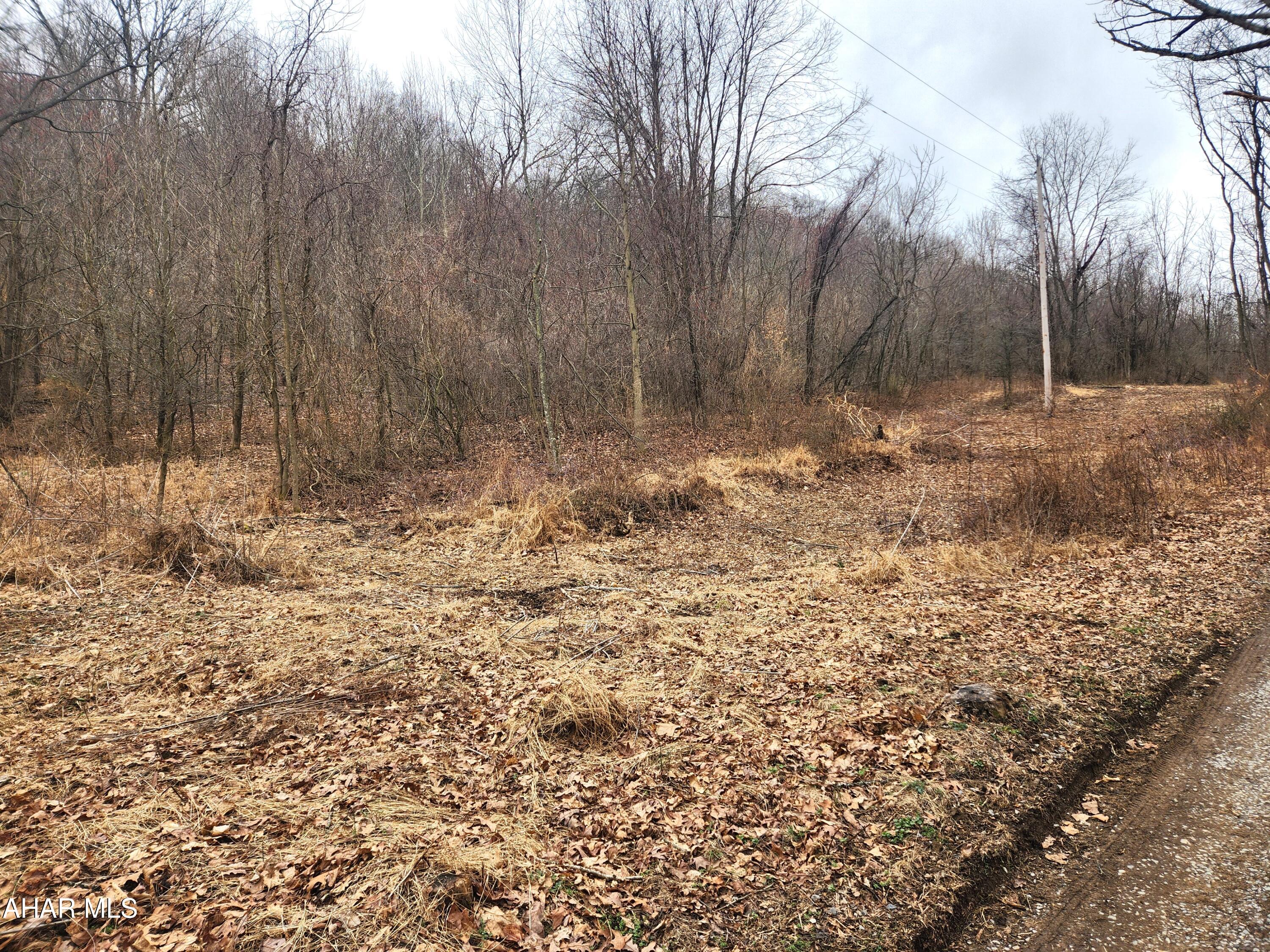 303 Wake Road Buffalo Mills, PA 15534 - Photo 3 of 31