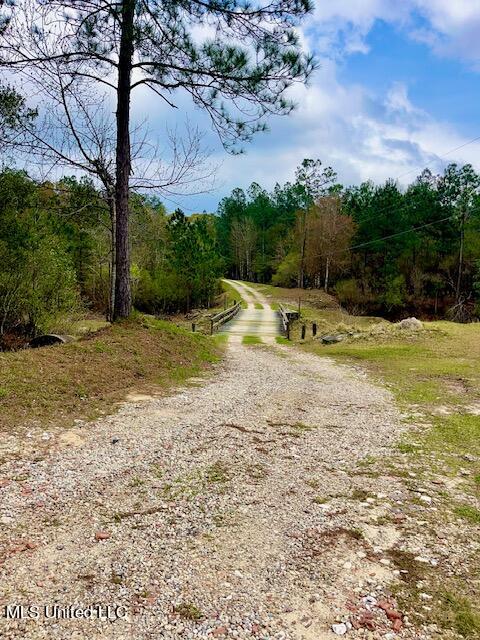 15429 Indian Fork Road Vancleave, MS 39565 - Photo 43 of 63 Road Through Property