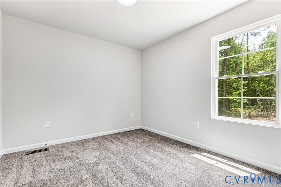 1011 Swan Lane Ruther Glen, VA 22546 - Photo 34 of 54