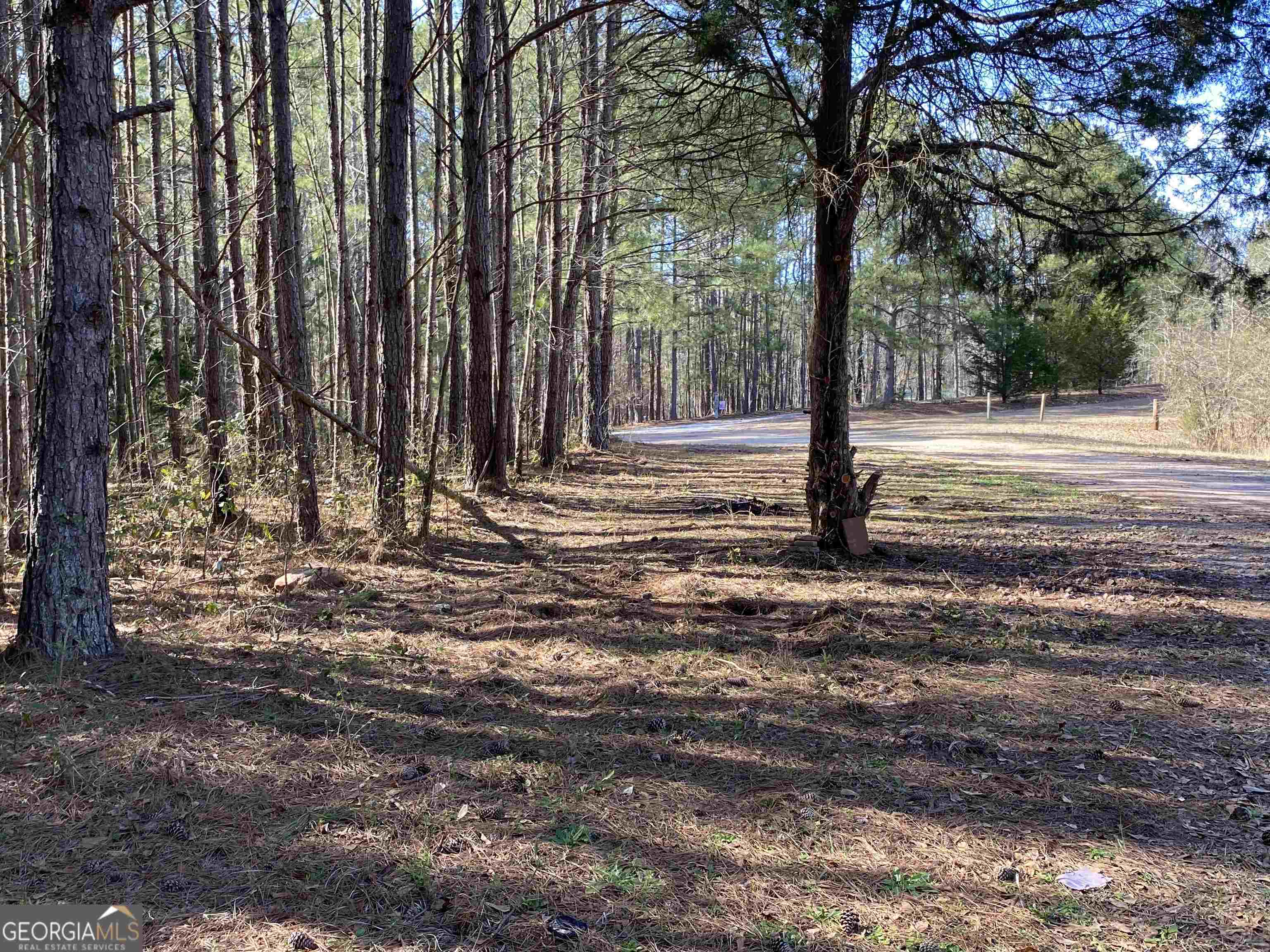 276 Millard Farmer Road Newnan, GA 30263 - Photo 1 of 1 Gallery Image 1