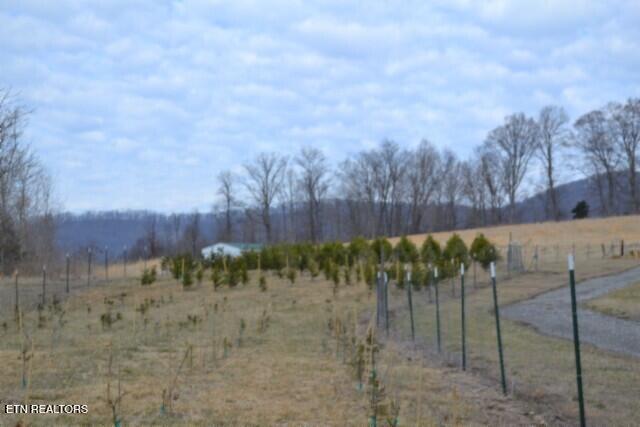 127 Rushing Springs Road Monterey, TN 38574 - Photo 11 of 57 DSC_0011