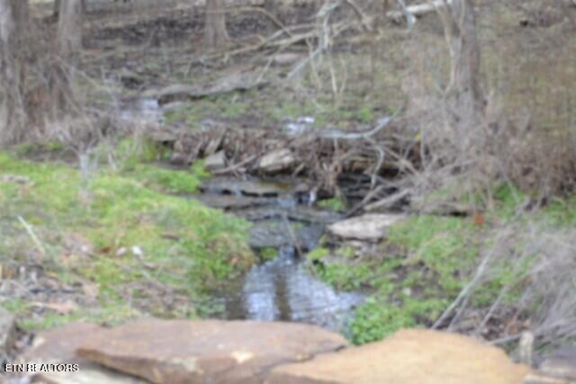 127 Rushing Springs Road Monterey, TN 38574 - Photo 22 of 57 DSC_0030