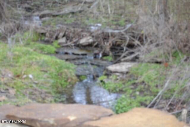 127 Rushing Springs Road Monterey, TN 38574 - Photo 23 of 57 DSC_0031