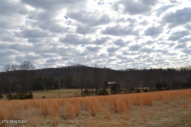 127 Rushing Springs Road Monterey, TN 38574 - Photo 29 of 57 DSC_0044