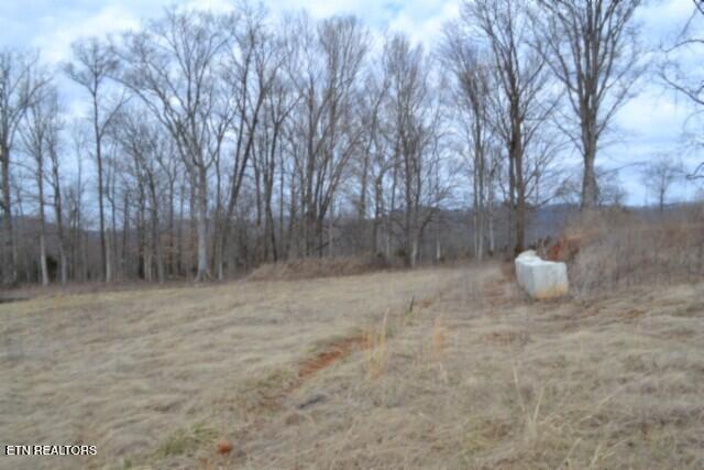 127 Rushing Springs Road Monterey, TN 38574 - Photo 35 of 57 DSC_0050