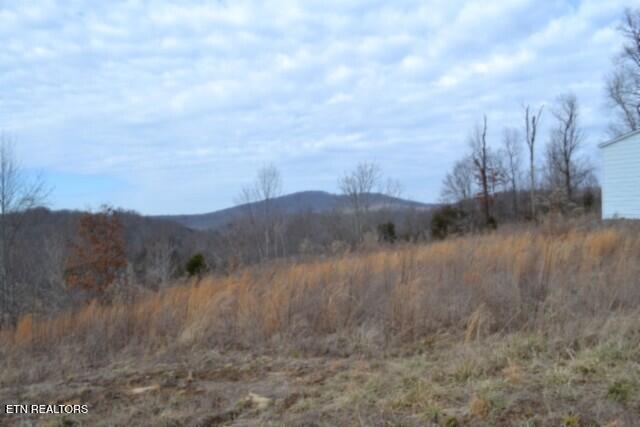 127 Rushing Springs Road Monterey, TN 38574 - Photo 43 of 57 DSC_0058