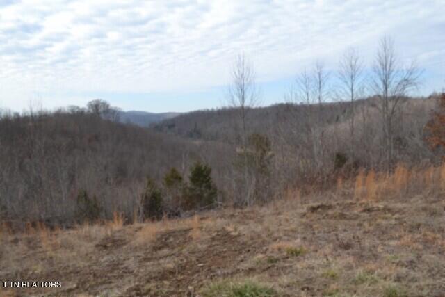 127 Rushing Springs Road Monterey, TN 38574 - Photo 44 of 57 DSC_0059