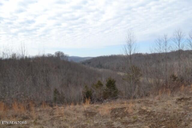 127 Rushing Springs Road Monterey, TN 38574 - Photo 45 of 57 DSC_0060