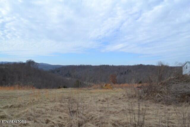 127 Rushing Springs Road Monterey, TN 38574 - Photo 46 of 57 DSC_0063