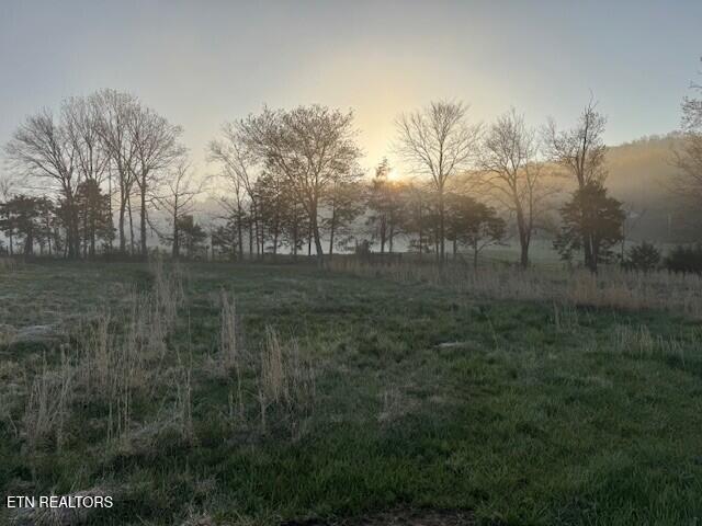 127 Rushing Springs Road Monterey, TN 38574 - Photo 5 of 57 Spring photo 4