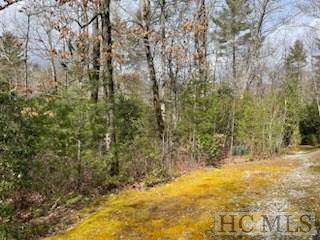 Tbd Tbd Knob Creek Road Cullowhee, NC 28723 - Photo 3 of 9 Gallery Image 3