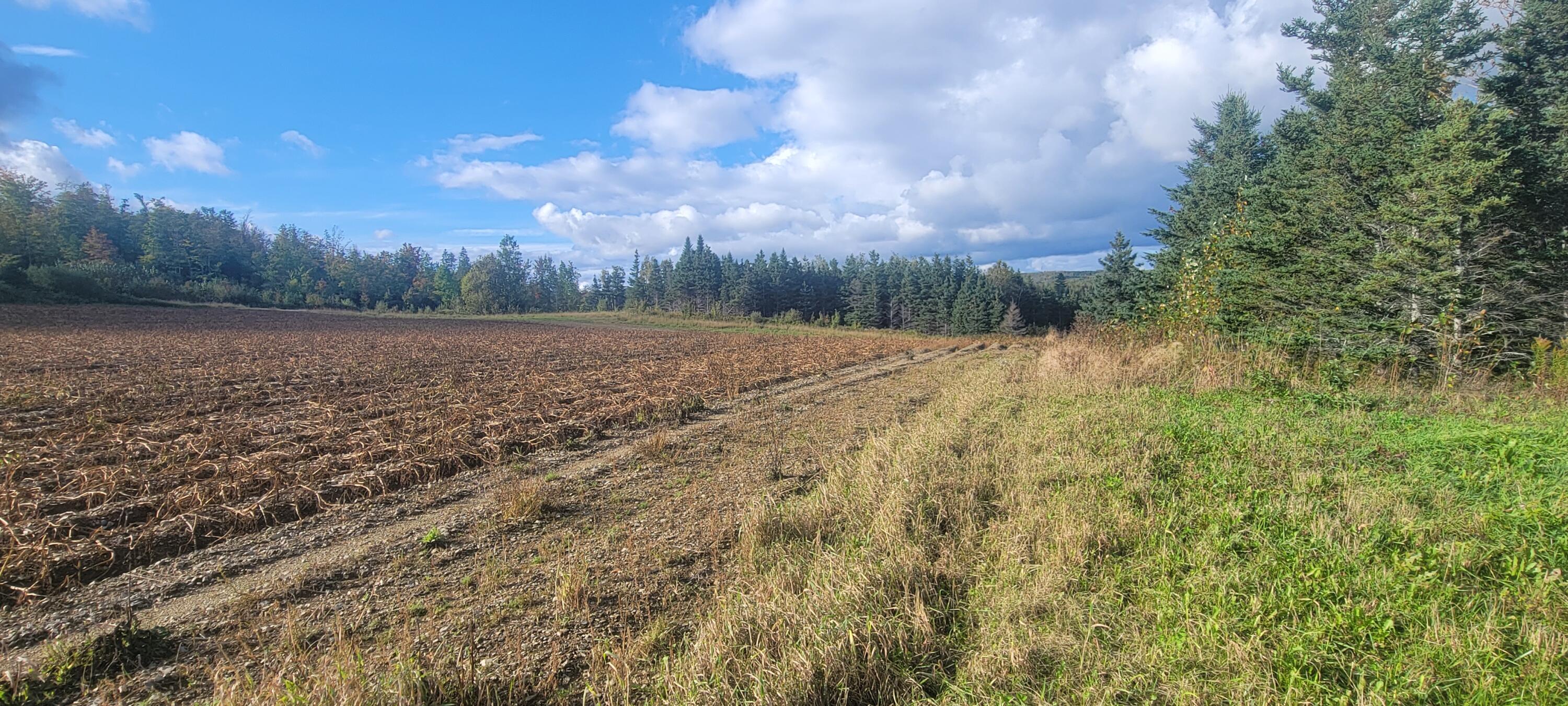 22 Lots 1 1b Fongemie Road St. David, ME 04773 - Photo 10 of 13 20230920_160745