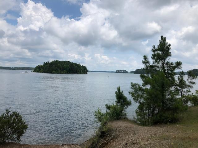 6098 Rousseau Creek Road Thomson, GA 30824 - Photo 18 of 19 View from Rousseau Creek Boat Ramp