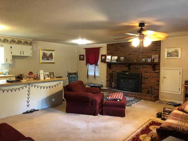 6098 Rousseau Creek Road Thomson, GA 30824 - Photo 3 of 19 Additional view of Great Room