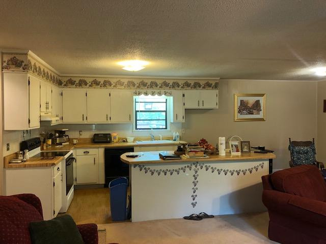 6098 Rousseau Creek Road Thomson, GA 30824 - Photo 5 of 19 Kitchen