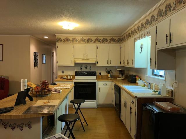 6098 Rousseau Creek Road Thomson, GA 30824 - Photo 6 of 19 Additional view of Kitchen