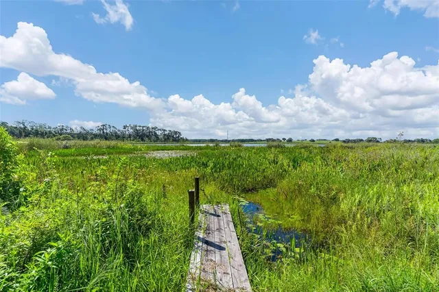 a view of a pathway both side of grassy field with shrub