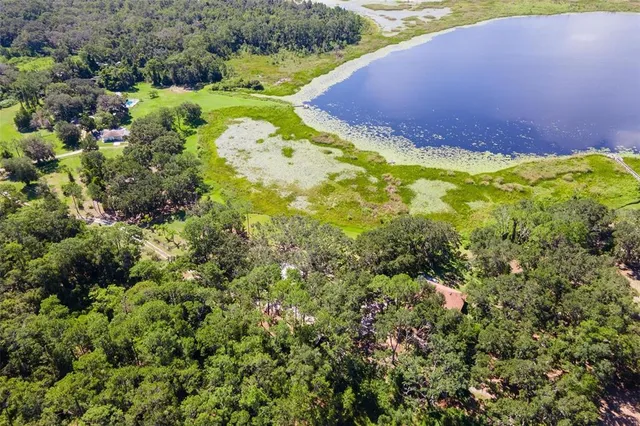 a view of a yard with plants
