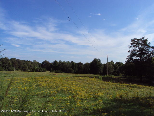 DSC06777