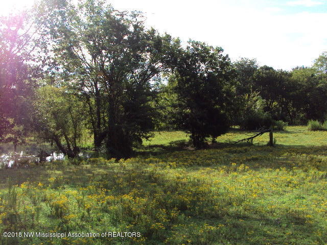 DSC06778