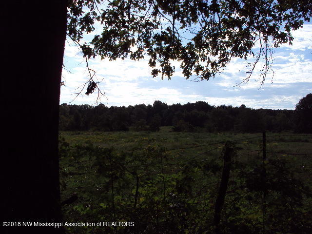 DSC06779