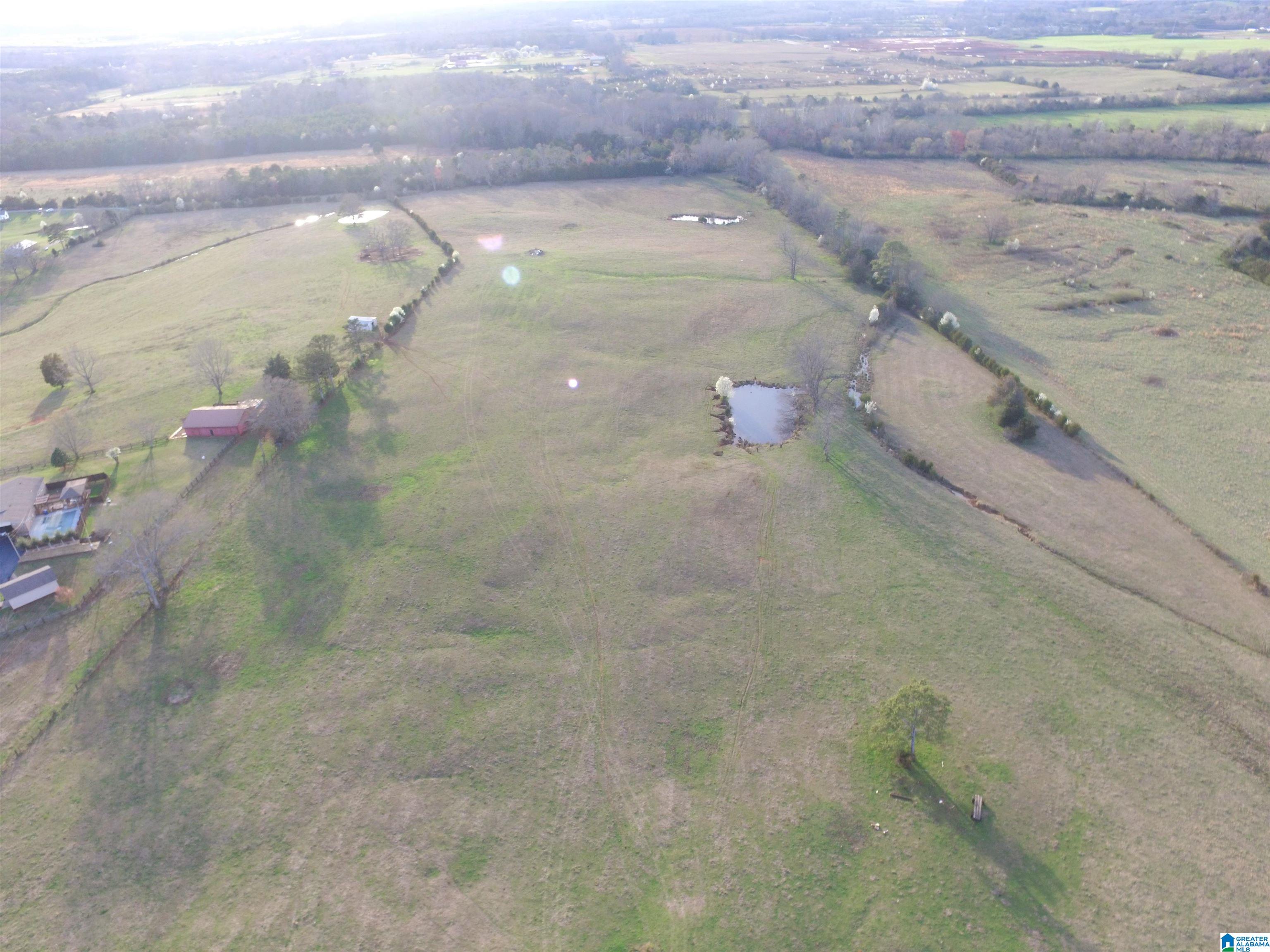 1432 Peaceful Valley Road Eastaboga, AL 36260 - Photo 87 of 91