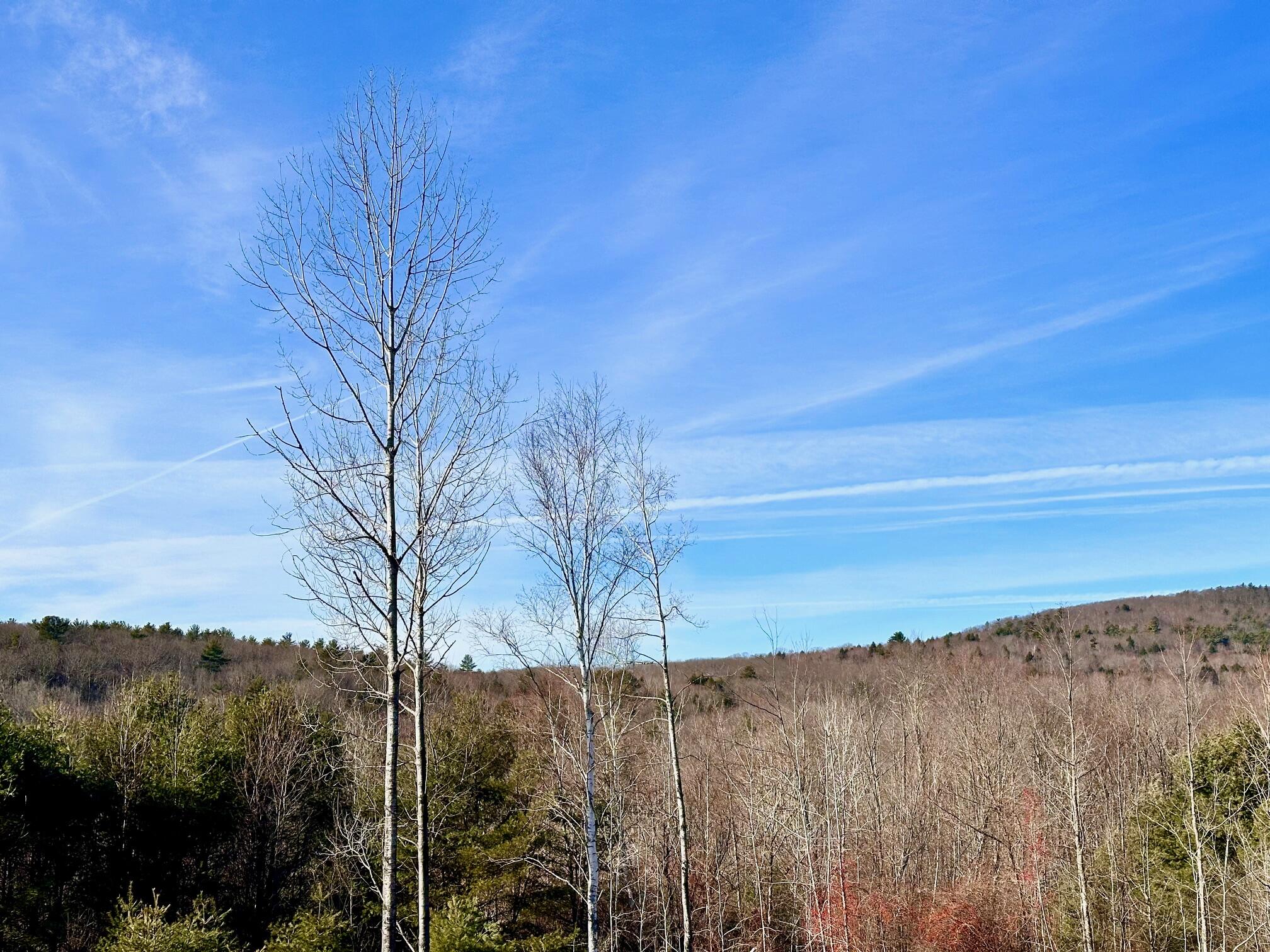 300 Sanders Road Livermore, ME 04253 - Photo 39 of 40 IMG_2973