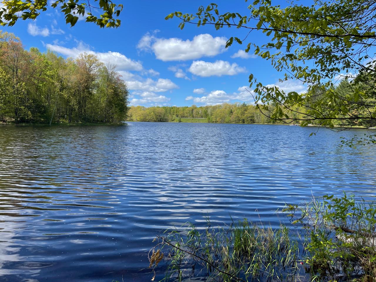 On On Shore Rd Summit Lake Summit Lake, WI 54485 - Photo 2 of 13 Gallery Image 2