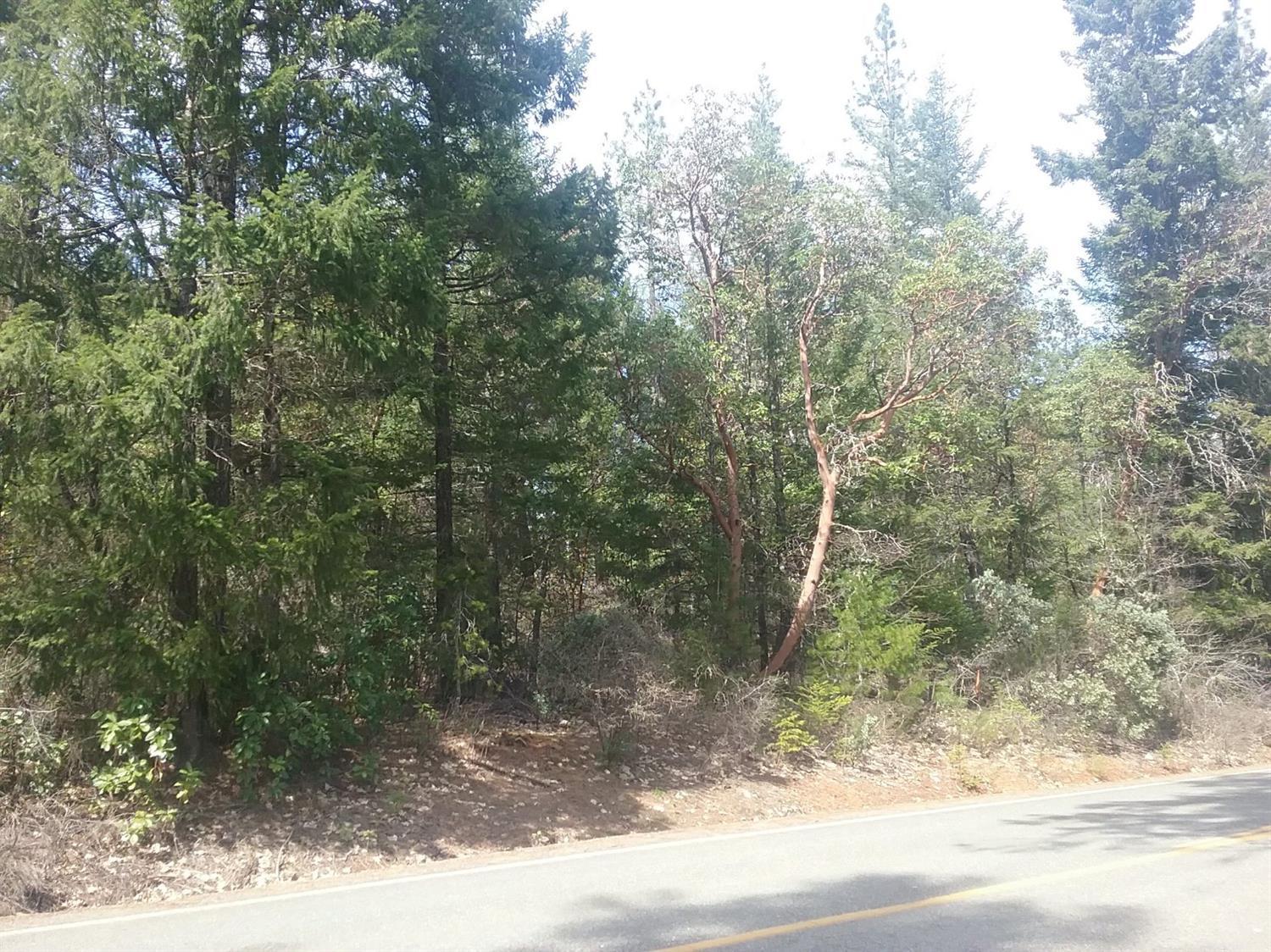 851 North Old Stage Road Cave Junction, OR 97523 - Photo 5 of 27 Additional Photo