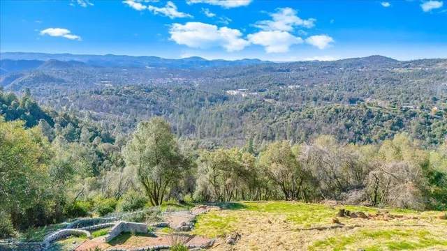 a view of a yard with plants