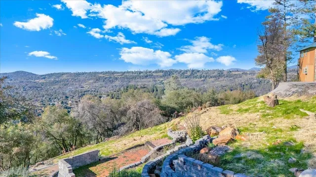 a view of yard with green space