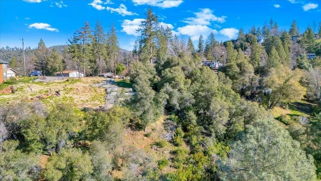 a view of a yard covered with trees